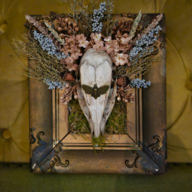 Vintage framed sheep skull